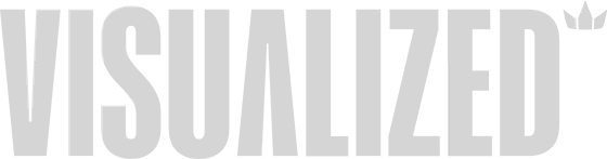 visualized.studio Logo in einem hellen Grauton
